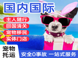 安顺黄果树机场托运国际宠物托运 【国